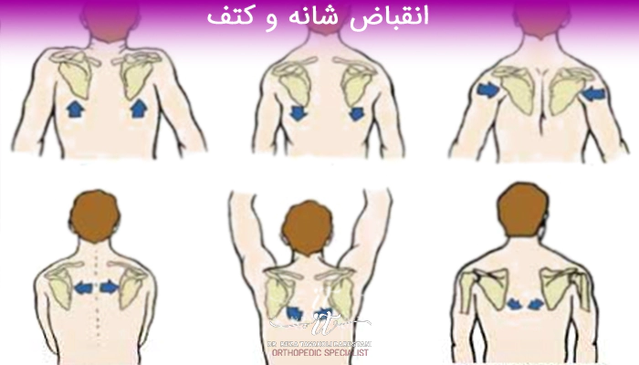 انقباض کتف