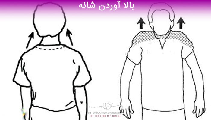 بالا آوردن شانه